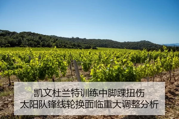 凯文杜兰特训练中脚踝扭伤 太阳队锋线轮换面临重大调整分析